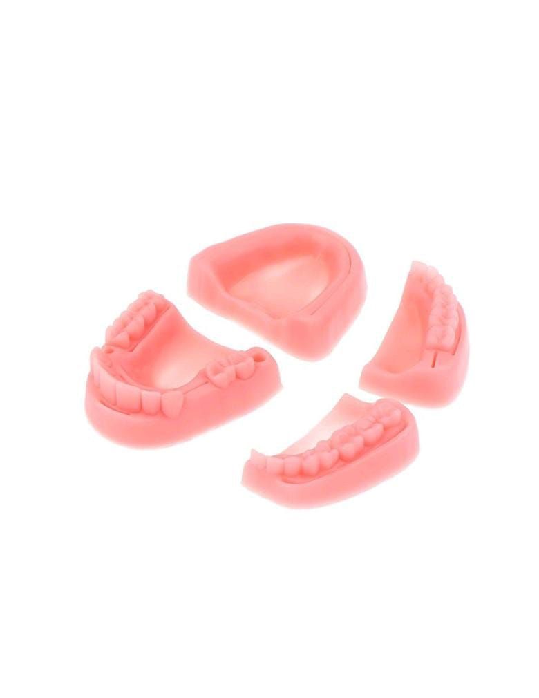 Simulación Dental Modelo de Suturacion Para Estudiante-2