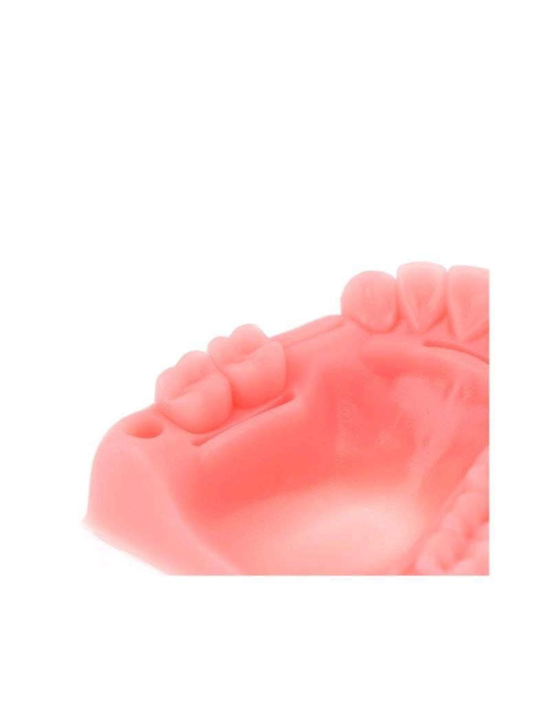 Simulación Dental Modelo de Suturacion Para Estudiante-5