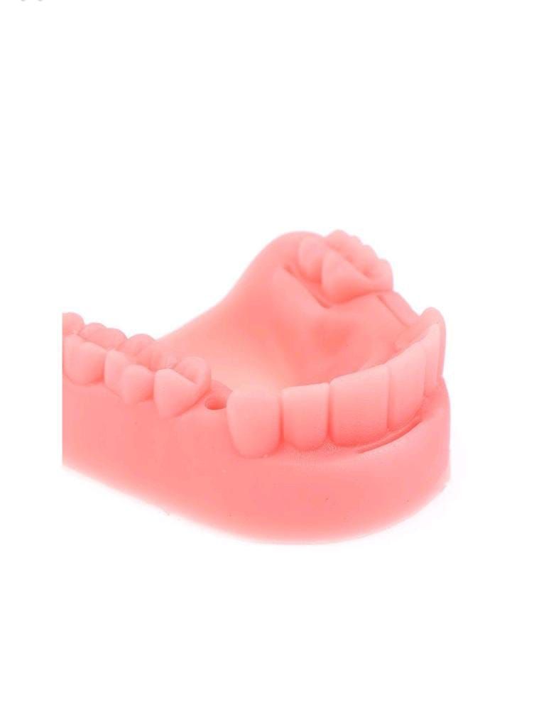 Simulación Dental Modelo de Suturacion Para Estudiante-6