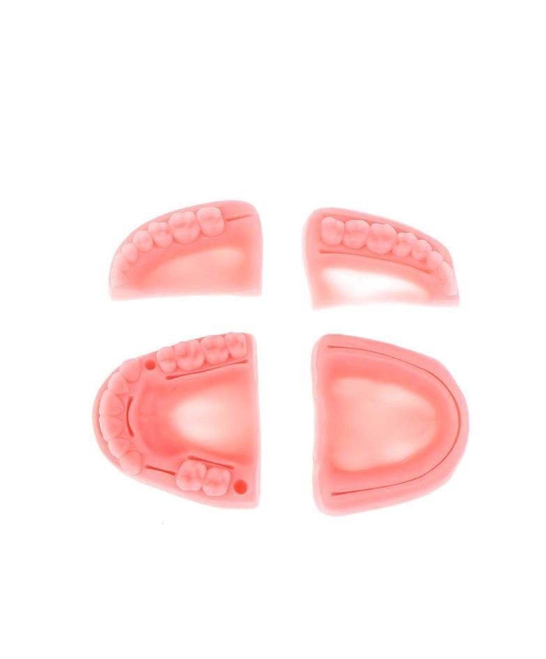 Simulación Dental Modelo de Suturacion Para Estudiante-7