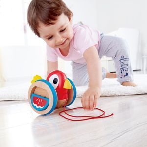 Juego de arrastre pull along bird -1