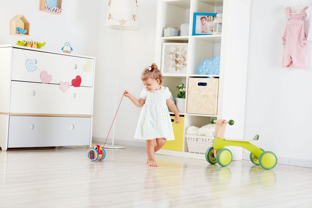 Juego de arrastre pull along bird -2