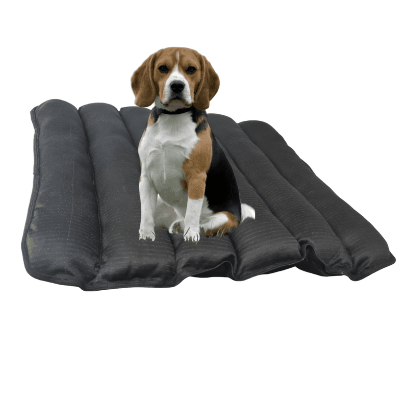 Cama Mascota Mat Cobre Negro-1