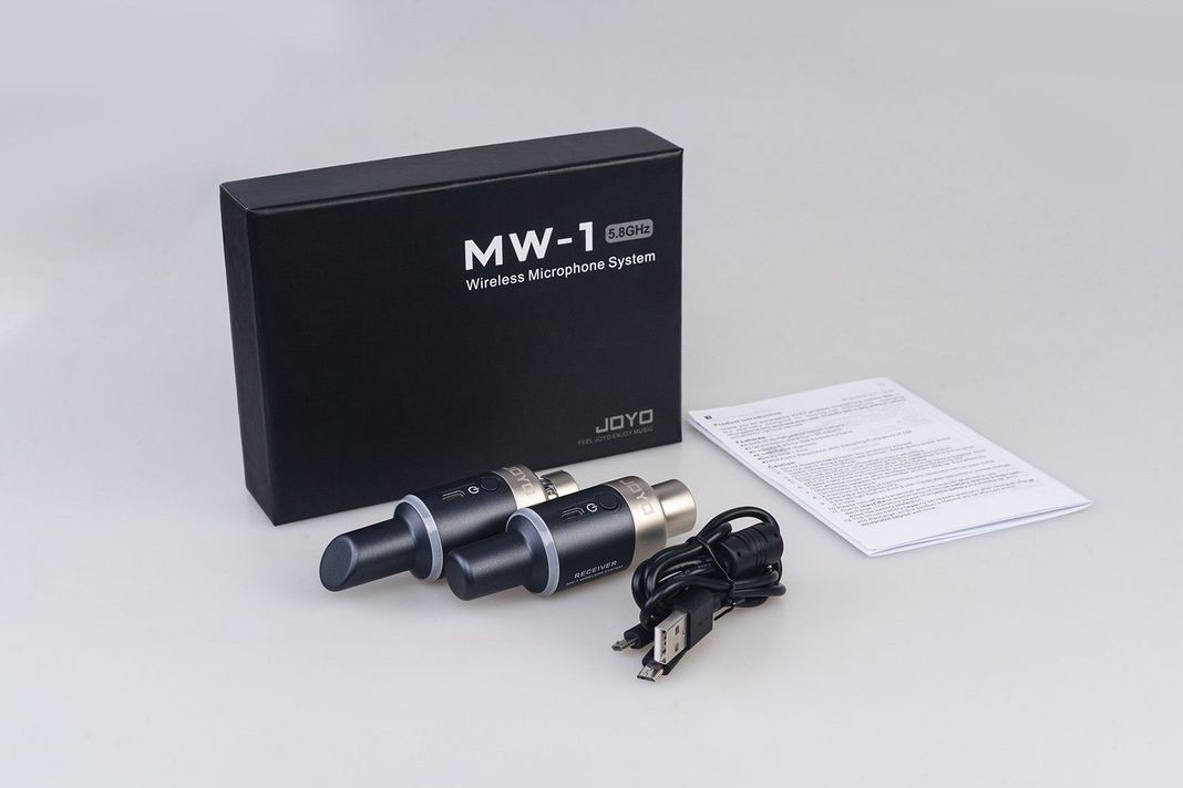 Sistema Inalámbrico Micrófonos Joyo-2