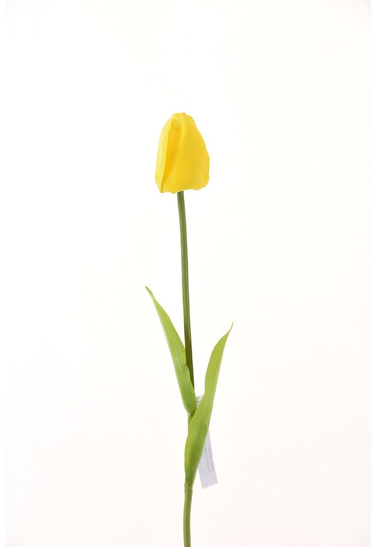 Tulipan 60Cm Amarillo