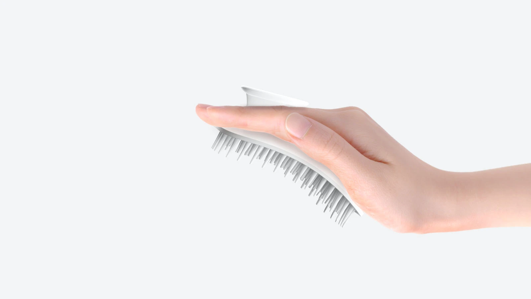 Cepillo especial para el lavado del cabello - SCALP BORN Shampoo Brush (Plata : Normal/Grasa)-1