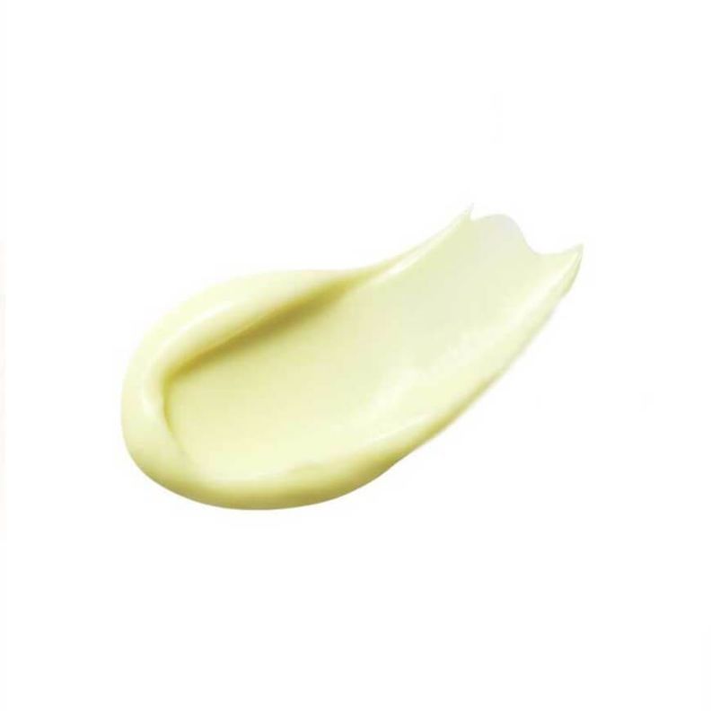 Crema rejuvenecedora SCINIC con Retinol y Bakuchiol para piel madura-2
