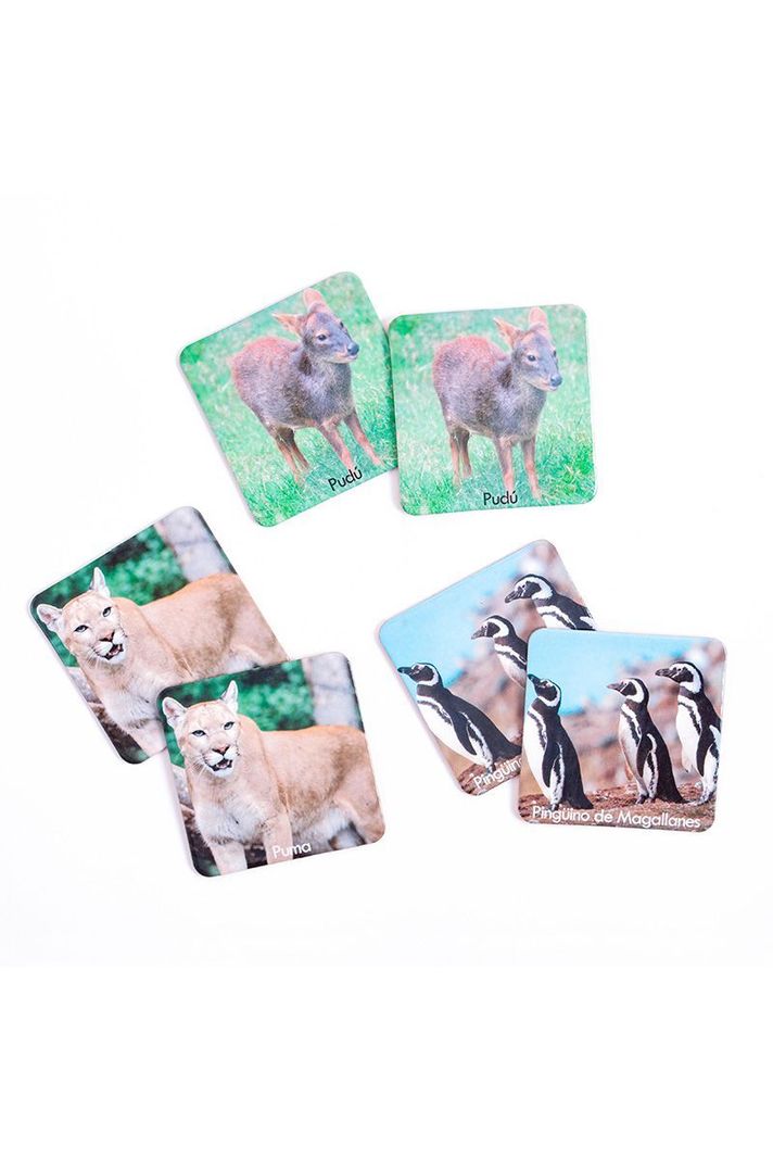MEMORICE PLUS FAUNA CHILENA-1