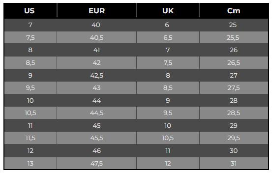 Zapatilla Jordan Low Bred toe Jordan