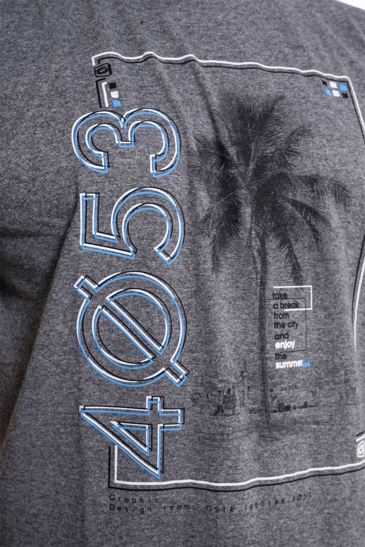 Plus Polera Mc Básica 4053G Gris Gangster-3