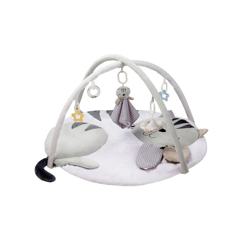 Gimnasio Didactico Carestino Gatito Surtido