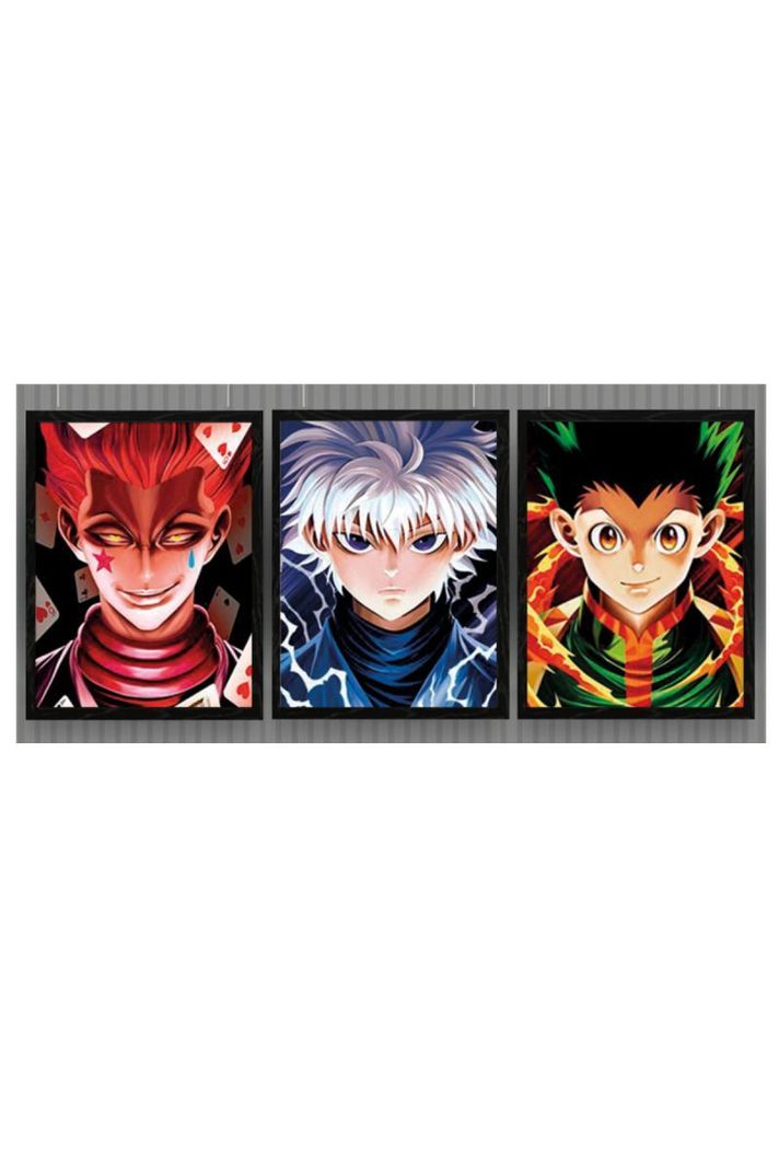 Hunter X Cuadro 3D Efecto Lenticular 3 imagenes en 1-0