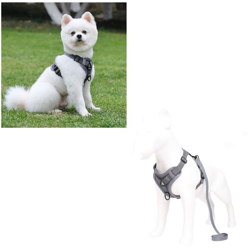 Arnés Para Perro Ajustable Con Correa Reflectantes M-1