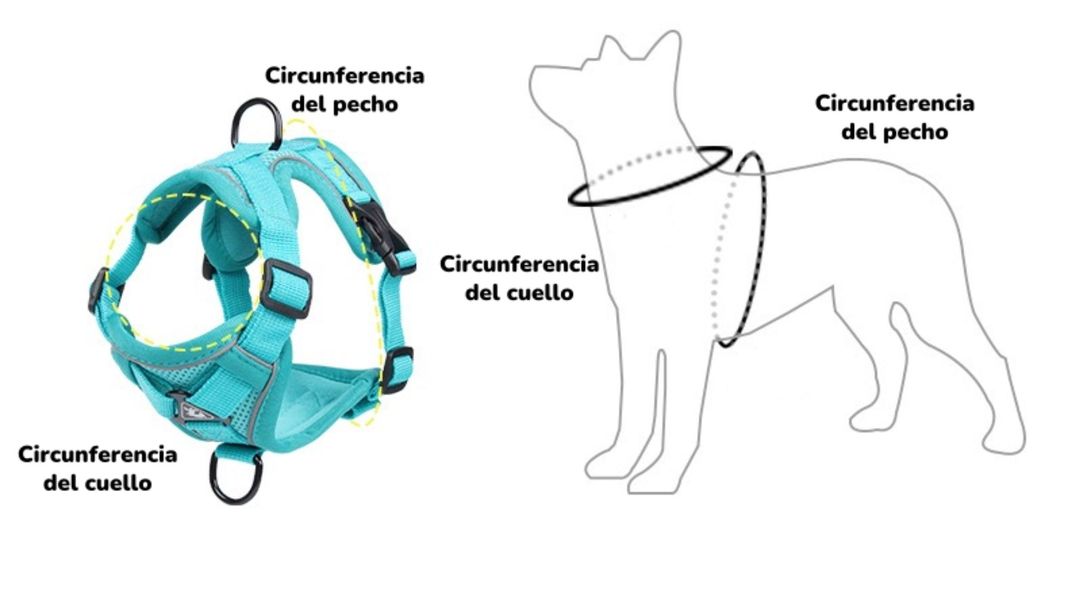 Arnés Para Perro Ajustable Con Correa Reflectantes M-2