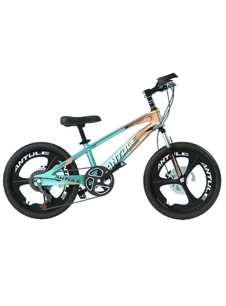 Bicicleta Infantil 8-10 Años Aro 20 Lubabycas Verde-0