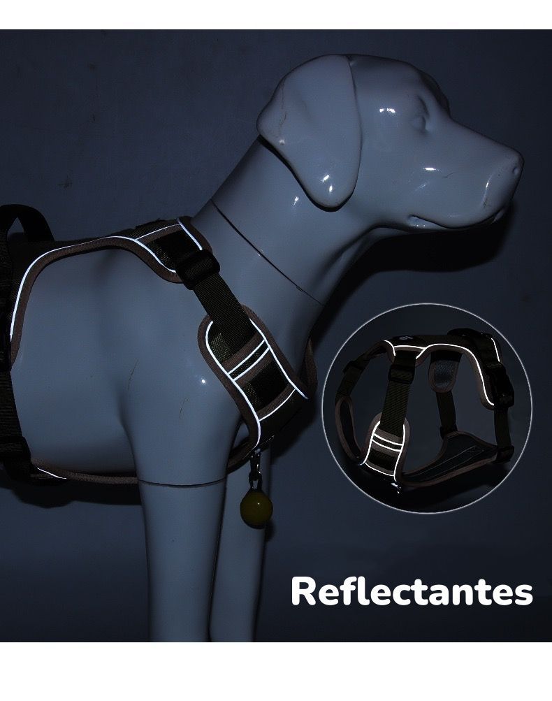 Arnés Para Perro Ajustable Con Correa Reflectantes Mimi M-2