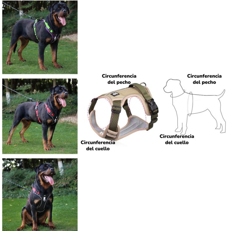 Arnés Para Perro Ajustable Con Correa Reflectantes Mimi M-3
