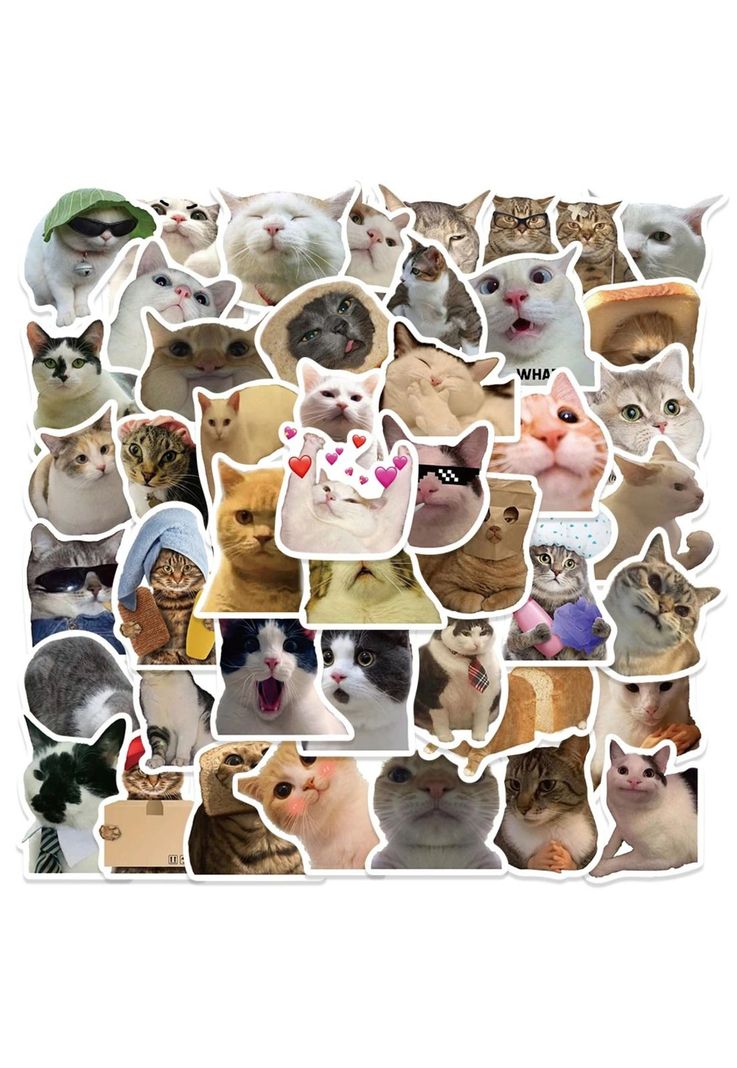Pack 50 Sticker Gatitos Memes gatos Nekos-1