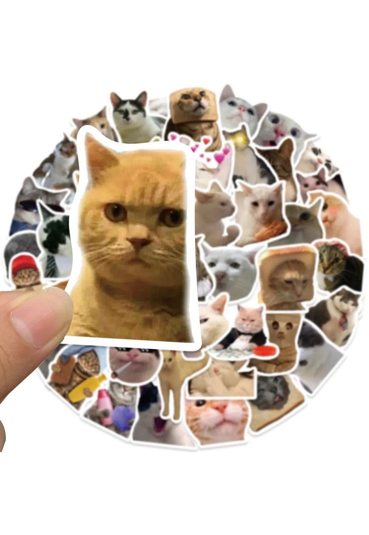 Pack 50 Sticker Gatitos Memes gatos Nekos-3