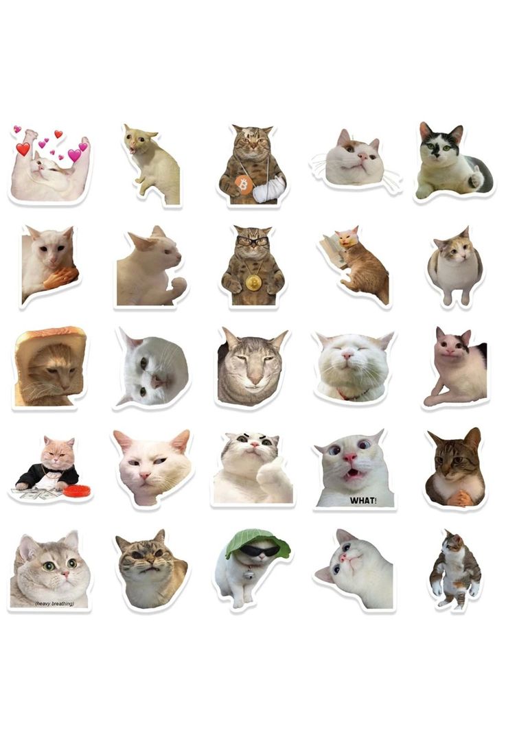 Pack 50 Sticker Gatitos Memes gatos Nekos-4