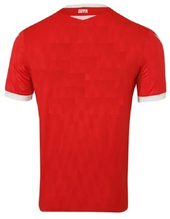 Camiseta Futbol Nottingham Forest de Inglaterra Talla S-1