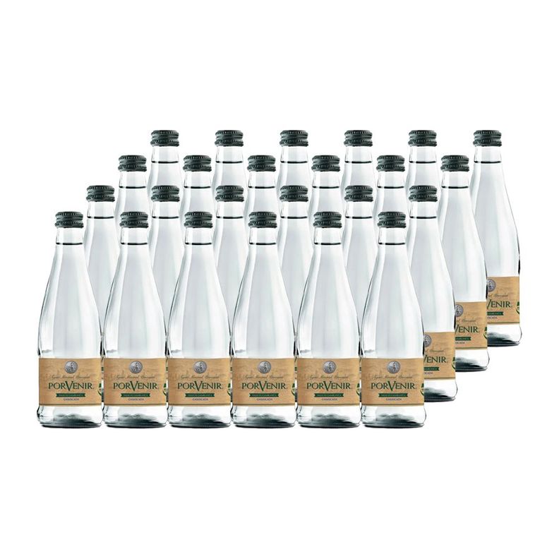 24x Agua Mineral Porvenir Sin Gas Botella Vidrio 330cc-0