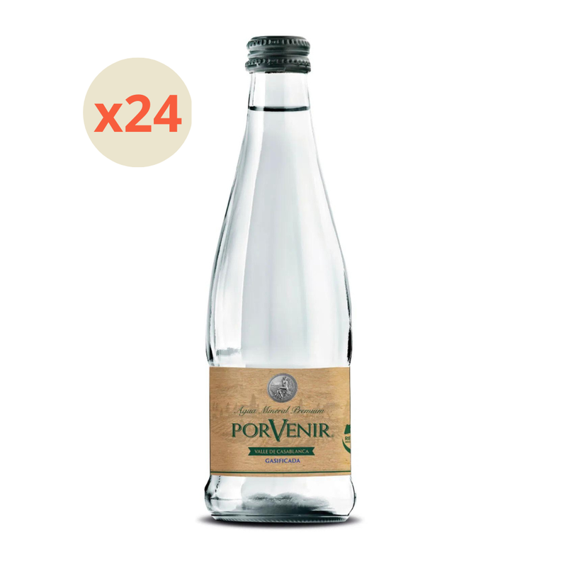 24x Agua Mineral Porvenir Sin Gas Botella Vidrio 330cc-1