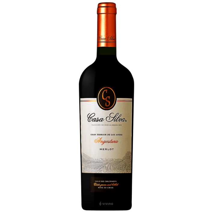 Vino Casa Silva Gran Terroir De Los Andes Merlot 14° 750cc