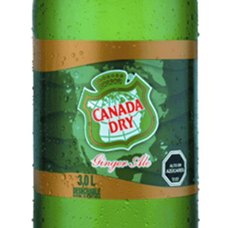 Bebida Canada Dry Ginger Ale 3000cc-1
