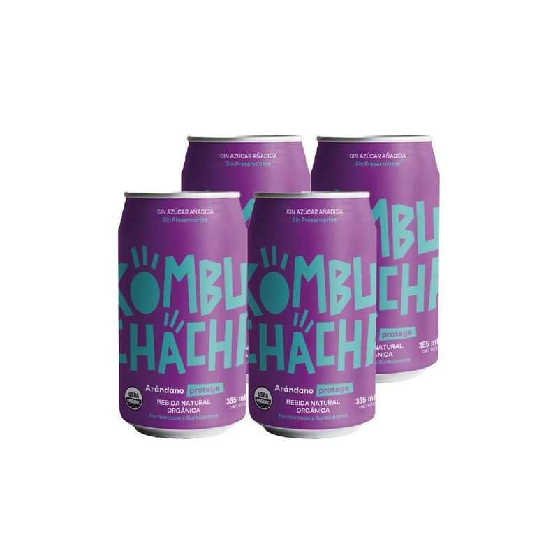 4x Kombuchacha Arándano Lata 350cc-0