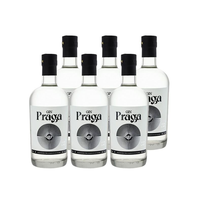 6x Gin Praga Dry 38° 700cc-0