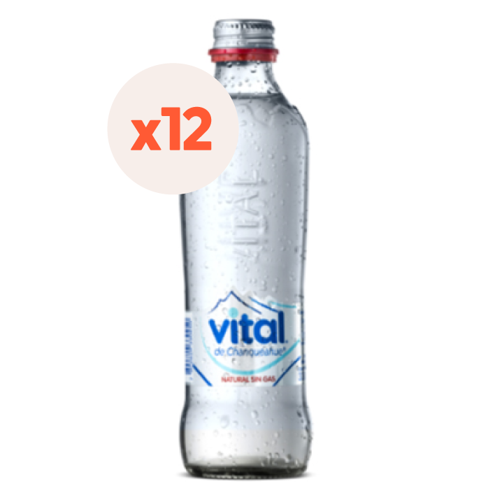 12x Agua Vital Sin Gas Botella Vidrio 330cc-1