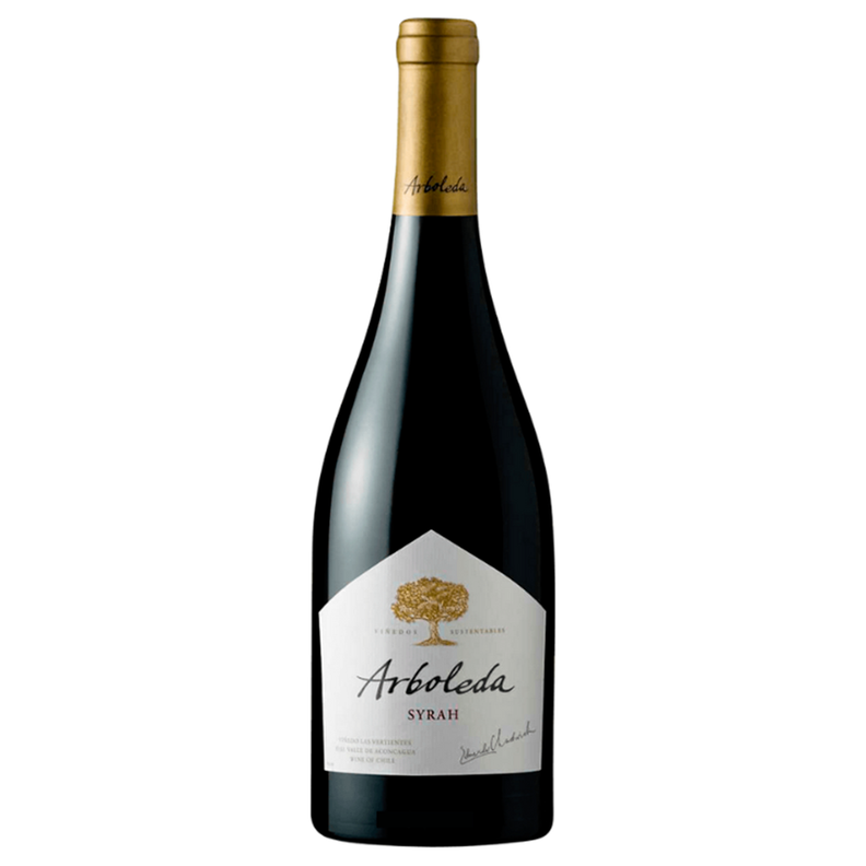 Vino Arboleda Syrah 14,5° 750cc-2