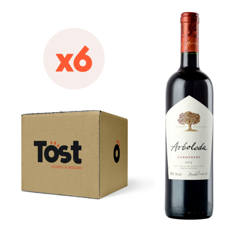 6x Vino Arboleda Carmenere 13,5° 750cc-0