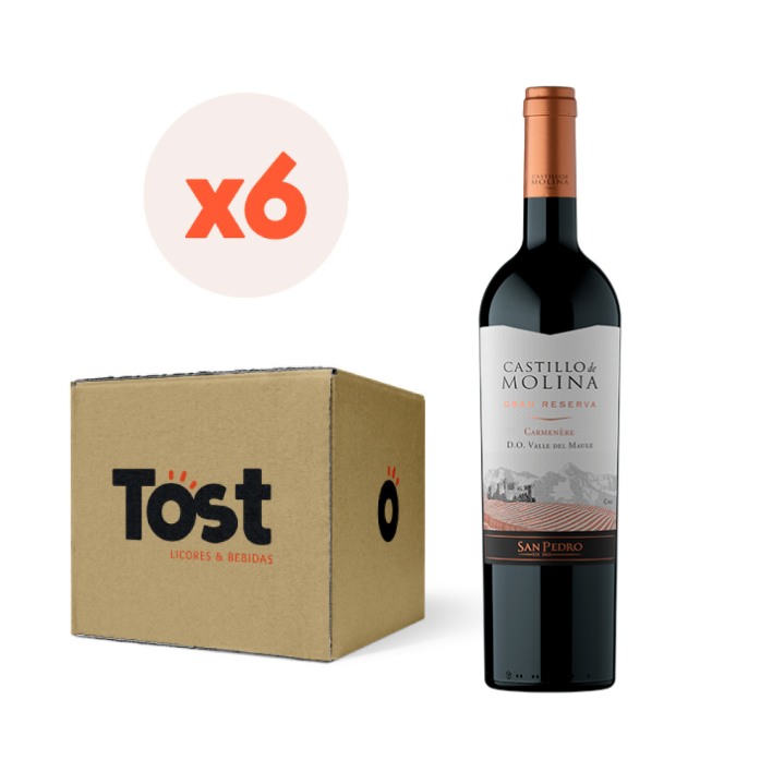 6x Vino Castillo de Molina Gran Reserva Carmenere 14° 750cc-0
