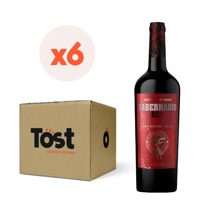 6x Vino Santa Rita Cabernario Red Blend 13,5° 750cc-0