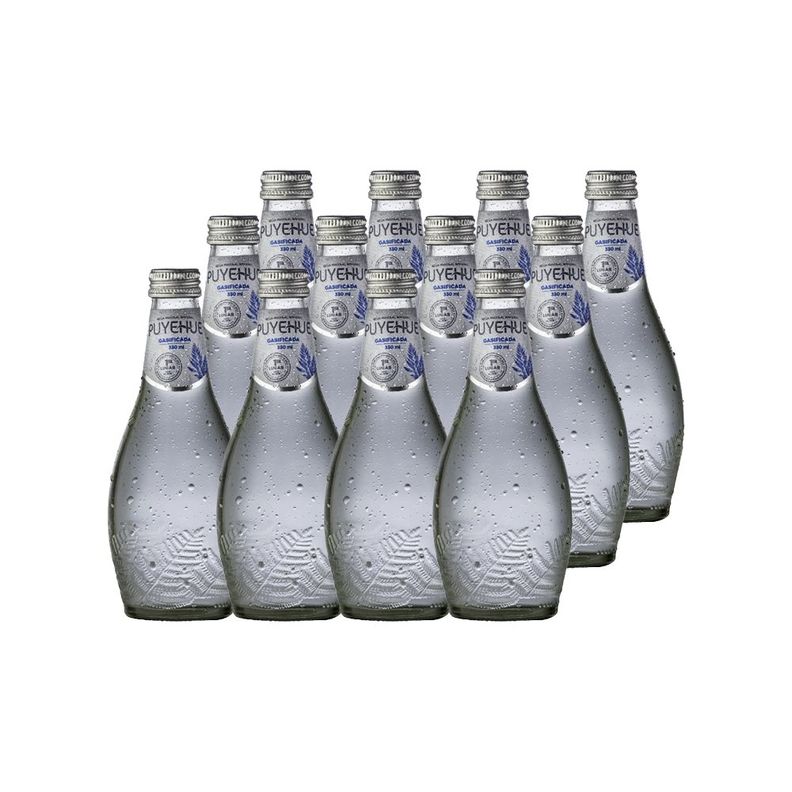 12x Agua Mineral Natural Puyehue con gas 330cc-0