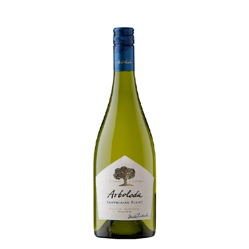 Vino Arboleda Sauvignon Blanc 13° 750cc-0