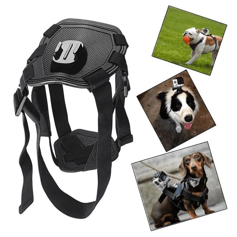 Arnes corea de Perro para Camaras Deportivas SJCAM Negro