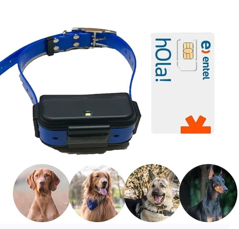 Rastreador GPS para mascotas TKSTAR TK919 4G GPS tracker configurado con SIM-0