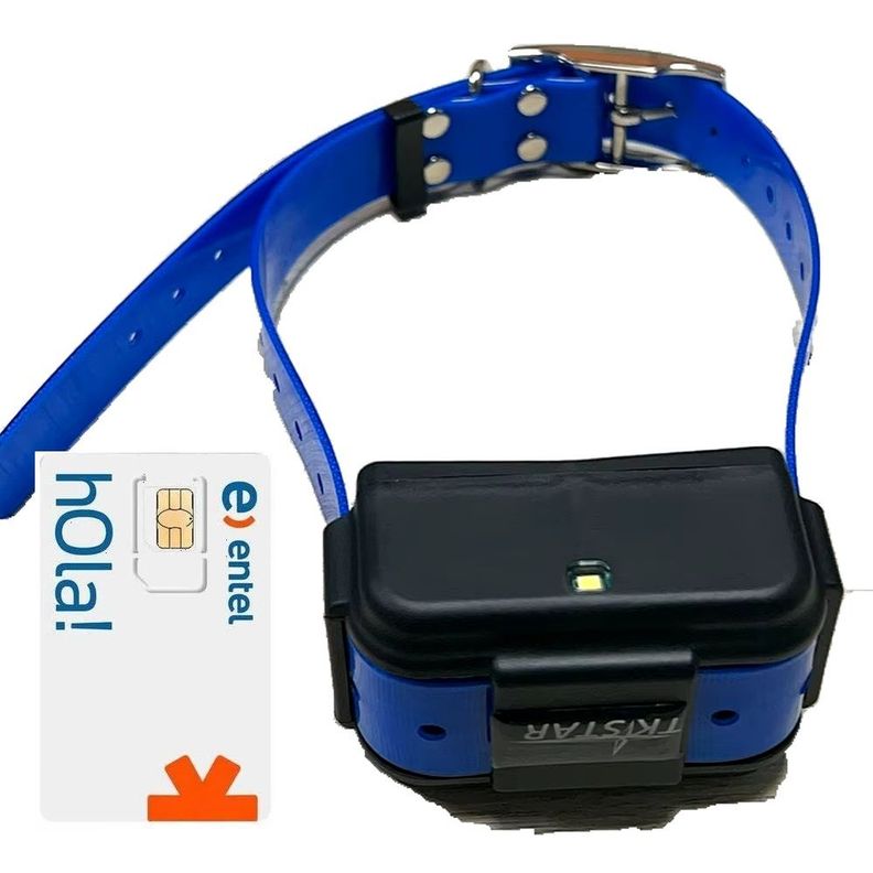 Rastreador GPS para mascotas TKSTAR TK919 4G GPS tracker configurado con SIM-1
