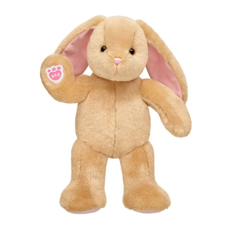 PELUCHE CONEJITA PAWLETTE 2  BUILD-A-BEAR-1