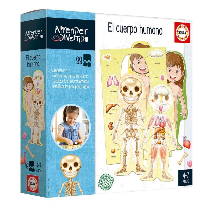 JUEGO APRENDO EL CUERPO HUMANO EDUCA-2