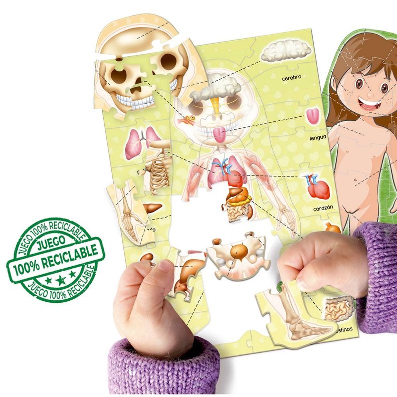 JUEGO APRENDO EL CUERPO HUMANO EDUCA-3