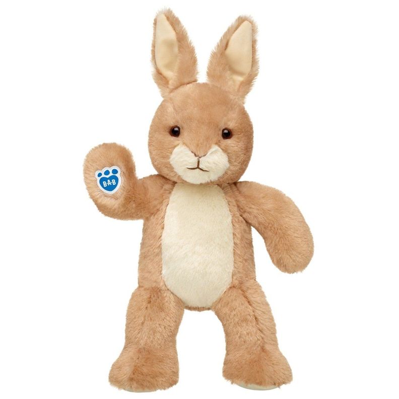 PELUCHE PETER RABBIT BUILD-A-BEAR-2