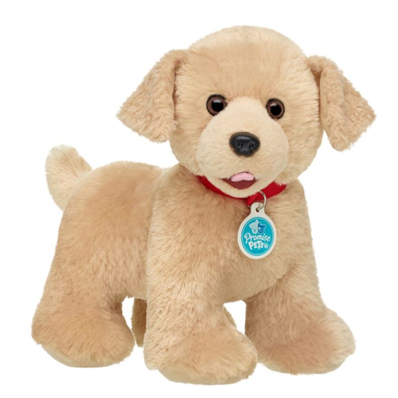 PELUCHE PERRO GOLDEN BUILD-A-BEAR-1