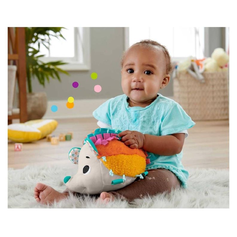 Fisher Price Erizo Estímulos Y Juego-3