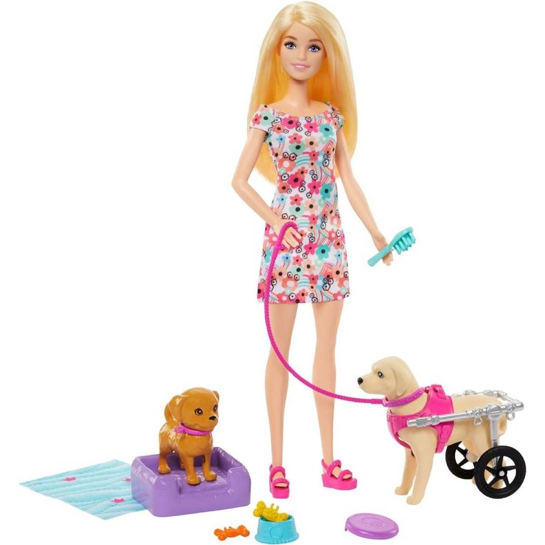 BARBIE SET DE JUEGO PASEO DE PERRITO CON SILLA DE RUEDAS-3