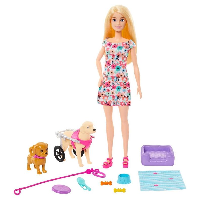 BARBIE SET DE JUEGO PASEO DE PERRITO CON SILLA DE RUEDAS-5