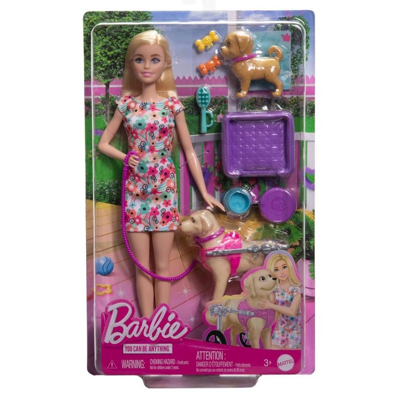 BARBIE SET DE JUEGO PASEO DE PERRITO CON SILLA DE RUEDAS-6